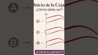 ✨ Inicio de la ceja: &iquest;c&oacute;mo debe ser? #AprendeCejas#BrowTips#BellezaProfesional#CejasNaturales