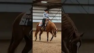 Western pleasure! #horsegirl #equestrian #beautiful #ai #cowgirl #westernpleasure