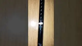 Daiwa phantom surf 2025