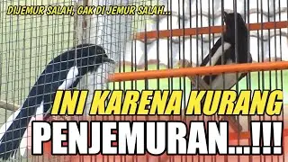 KACER MANGAP - Dr KACER
