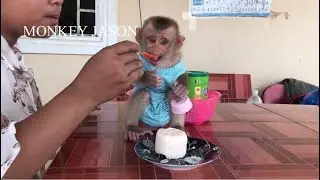 Smart Baby Jason So Cute With This Outfit Sit Silently Learn To Eat Ice Cream Yogurt