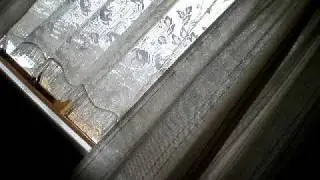 P4160073