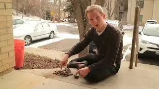 Recycling Broken Pots: Grog
