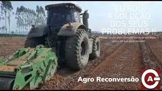 Reconvers&atilde;o de solo em &aacute;rea de eucalipto, a destoca eficiente!!