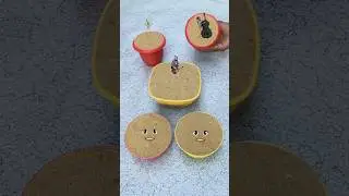 This Cake Is Not Real 😲 Sand Cake ASMR #shorts #ytshorts #viral