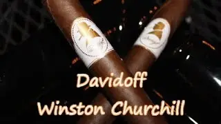 Davidoff Winston Churchill, Jonose Cigars Review