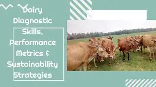 Optimize Dairy Farm Operations @ Modata Agribusiness Ltd