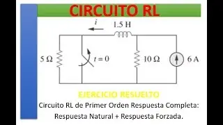 ☑️ CIRCUITO RL respuesta total, Respuesta natural y respuesta forzada eje  3