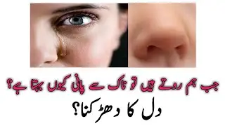 Why does Nose Run When We Cry? / Jab Hum Rote Hain to Naak Se Pani Kyo Behta hai? / Dil Ka Dhadakna