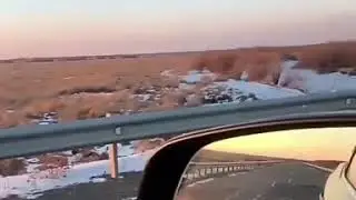 Жанакорган тигр