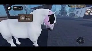 All of my horses ￼