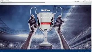 NetPlay: Mouse Accuracy and Reflex Training for Video Gamers