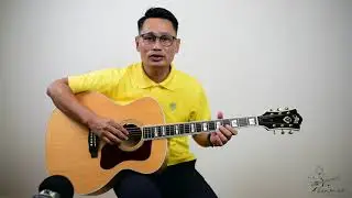 Guild F50  New Harford  2012
