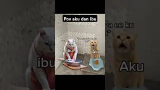 pov kucing aku dan ibu #memekucing #short #catlovers