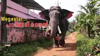 Pambadi rajan | ഗജരാജ ലക്ഷണ പെരുമാൾ | പാമ്പാടി രാജൻ | കതിർവില്ലഴകൻ