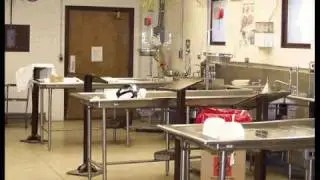 Coroner Autopsy Information