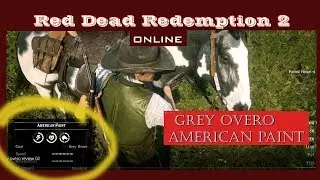 Red Dead Redemption 2 ONLINE_Grey Overo Horse Review
