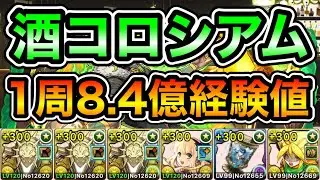 【パズドラ】【訂正あり】報酬確定！1周8.4億経験値！全敵対応！歴世の杯と神創の雫コロシアム！盛大な宴会！1周5分台！ずらしのみ！サレーネ-シャンペリオス&times;ナンナ編成でランク上げ周回！