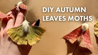 Autumn Leaves Moths Tutorial (Chill Crafting)