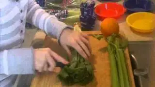 Guinea Pig Salads!