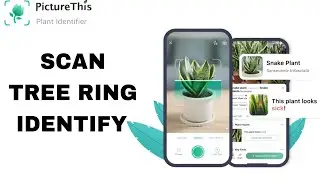 How To Scan Tree Ring Identify On PictureThis App