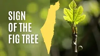 The Sign of the Fig Tree: 