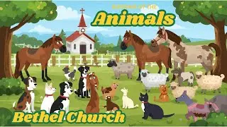 Blessing of the Animals 2025 at Bethel United Church of Christ Manchester MI