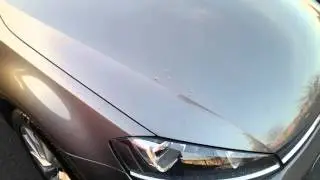Sonax BSD (Brilliant Shine Detailer) Sheeting and Beading Test