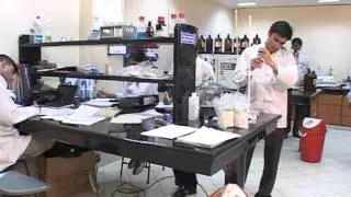 Consumer Voice Potato Chips Testing Video