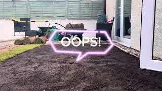 DIY Turf Makeover on a Budget | Will This Even Work?