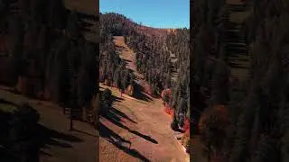Mount Lemmon Ski Valley | Southwest Drone Tech | Drone Shorts