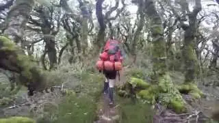Cow Creek, Tararua Forest Park