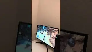 Playing &ldquo;Skate&rdquo; to hopefully become a famous Youtuber.Part 2