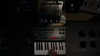 SL&Ouml;ER + M7 + UB-Xa #walrusaudio #mercury7 #behringer #bladerunner #oberheim #scifimusic #cyberpunk