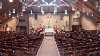 8:00am Mass from Holy Cross Catholic Church (December 29, 2025)