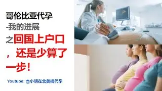小明在北美搞代孕77 - 哥伦比亚代孕：我的进展之回国上户口，少算了一步！