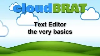 cloudBRAT - The Text Editor - Basics