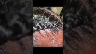 #foryou #howtomakeabraid #viralvideo #tiktok #ShaleeMurray #pocahontasbraids #neatbraids