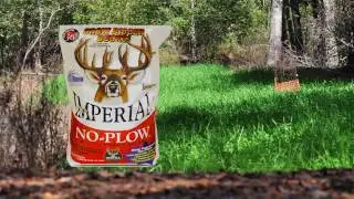 Whitetail Institute's No-Plow Food Plot Seed Blend