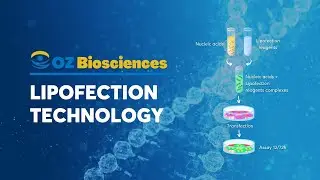 Lipofection Technology