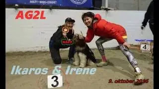3. Plass og NAPP i Klasse 2 Agility, Schapendoes Gutten Ikaros & Irene, T&oslash;nsberg, 09.10.2016