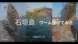 石垣島ワーム投げてみた！【石垣島おかっぱり】