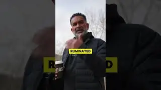 Manifestation Changed My Life