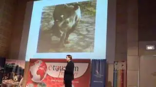 eTourism Africa Summit 4 - Raising Awareness.mp4