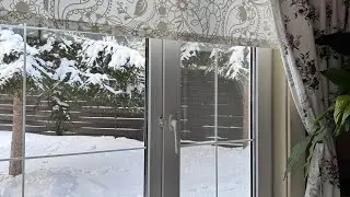 На даче все в снегу! Моя рассада в январе. Ягодный пирог