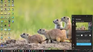 🔵Windows11-10 Bing Wallpaper Nasıl Kurulur