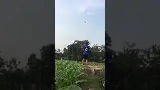 Stunkite