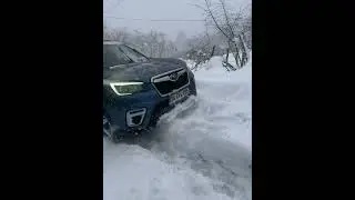 Subaru forester e-boxer kar snow deep