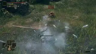 Elden Ring level 49 Twink pvp