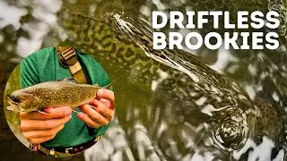 Brook Trout Fishing - Driftless Region of Wisconsin